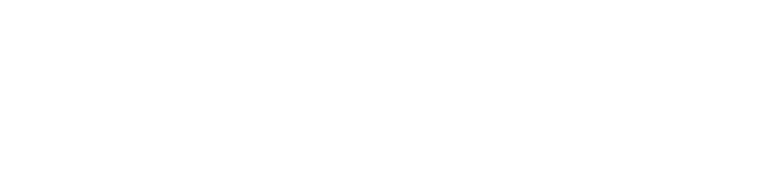 Censys_W