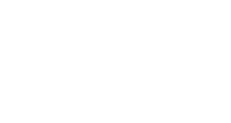 SANS Logo W